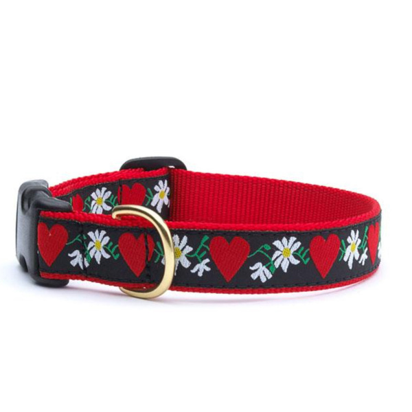 XS Hearts & Flowers Collar & Leash by Up Country
